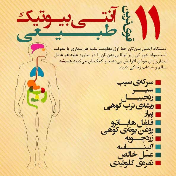 آنتی بیوتیک طبیعی
