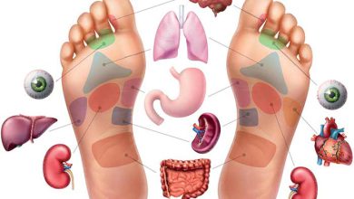 رفلکسولوژی و اثر آن بر قلب