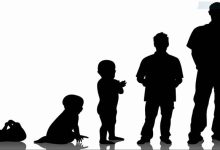 معرفی نظریه های رشد و نگاهی عمیق در آن ها