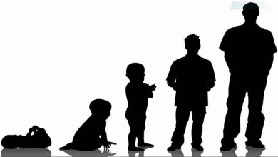 معرفی نظریه های رشد و نگاهی عمیق در آن ها